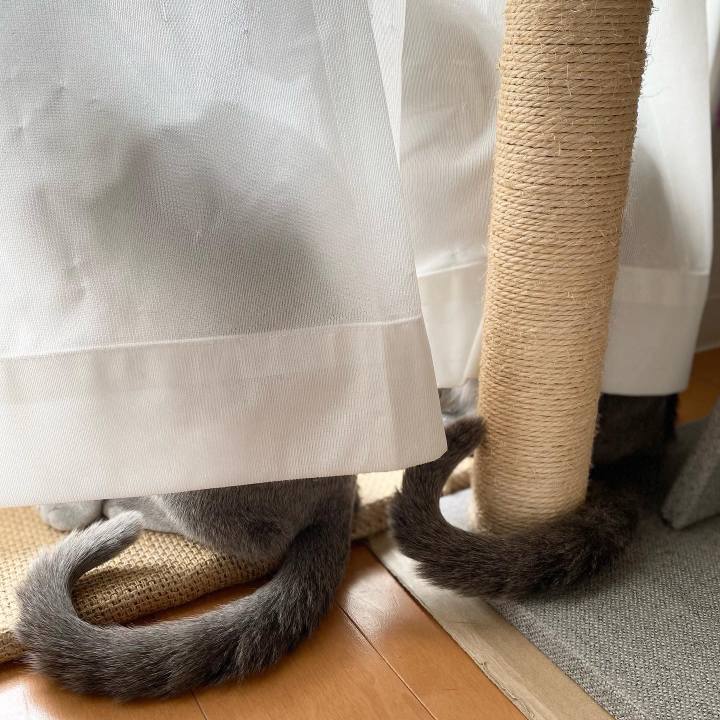 Adaddd42 f629 4fcc 87d0 cdceb88eed8a 1651566209565