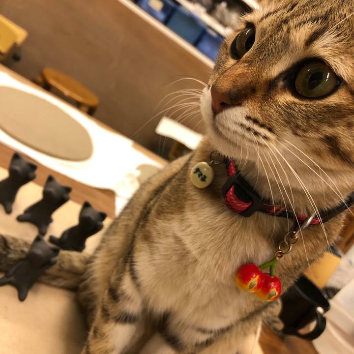 Adadea98 6a0b 4392 a71e 702771f9baef 1590391709799