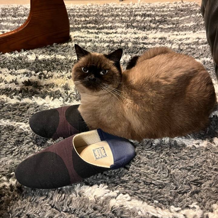 Adadf988 d296 4fc3 8d5a bfe70cbbcd86 1699880330506