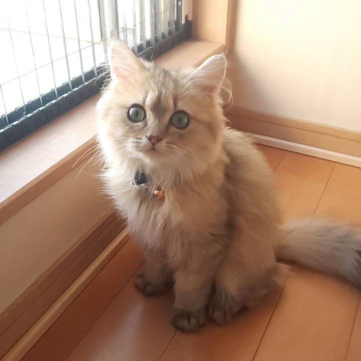 Adae0fdd cef4 4d6f 9774 31a9245a96aa 1558588649472