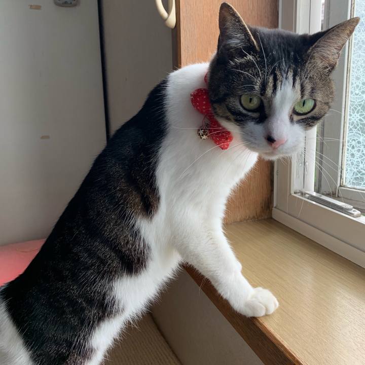 Adae12cf 2b3c 46c7 83a3 3c093bcdb168 1556507482951