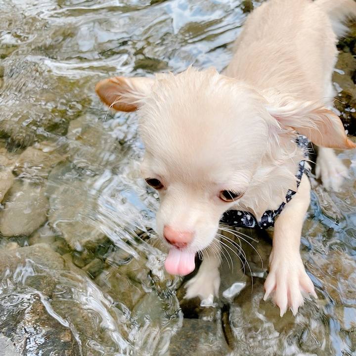 Adae2dc0 608a 4ac9 881a e97a299b8cb3 1597205097437