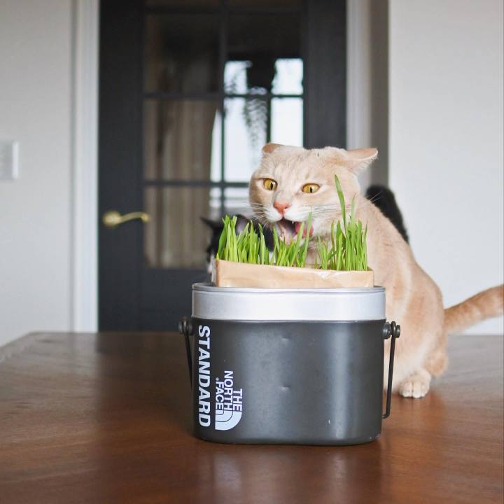 Adae6cc2 1d81 413a 8d1f ba77e98f1e77 1712212481933