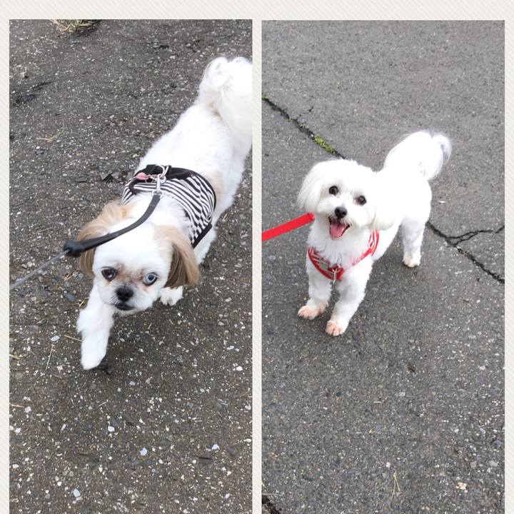 Adae7481 06ef 4c71 9708 75300c589394 1538295890611