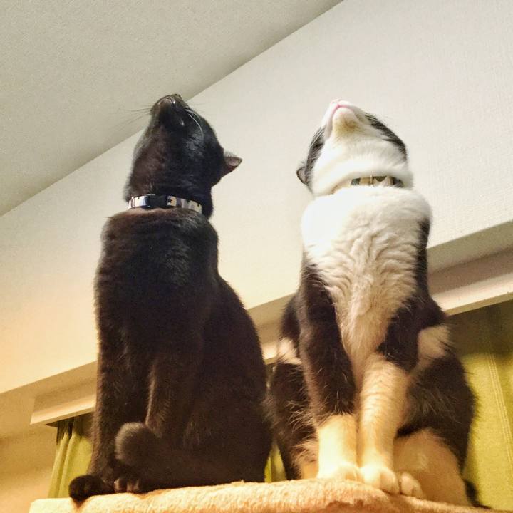 Adae8cba ac5d 4cd0 b97e 758914bc3104 1512207044458