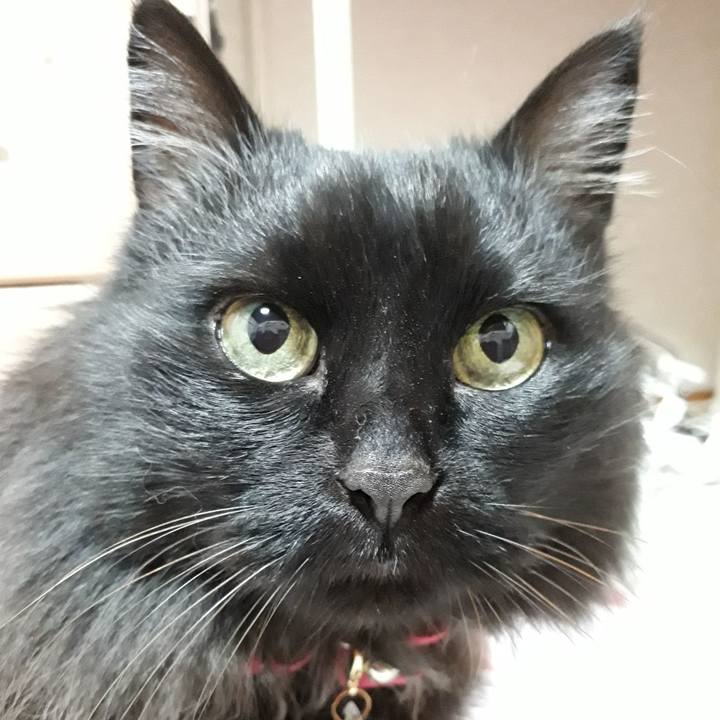 Adae9aa5 be0d 42dc a838 354959875508 1522586999189