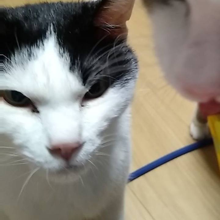 Adae9af0 c93a 415f 8ac8 94135176354f 1557838774511