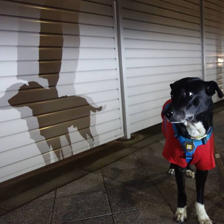 Adaeea01 6191 4a56 aecc a5a476c45e64 1676114455018