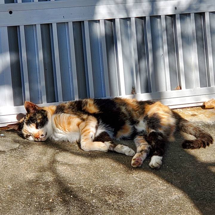 Adaf1ff3 25eb 4a51 8e8a b62ce12b87e0 1705486510783