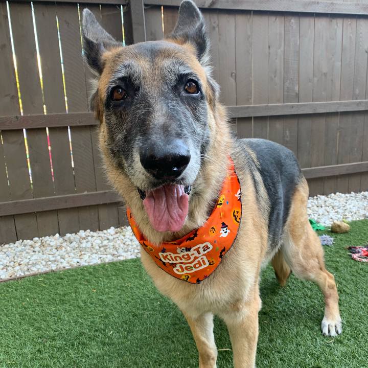 Adaf391c 257f 4b4b be56 259dd29ddb1c 1540428185712