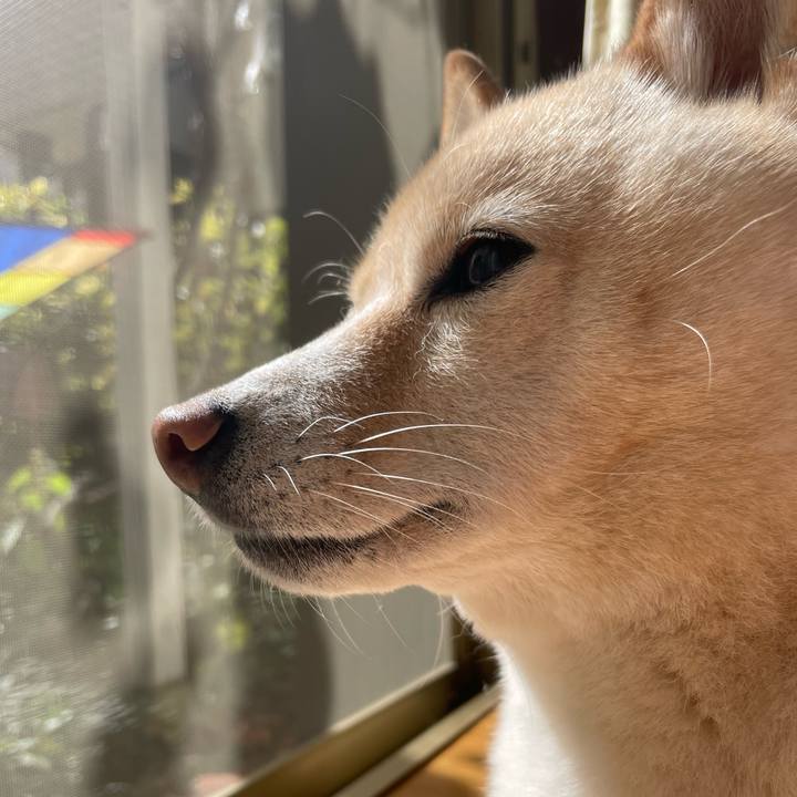 Adafcaf8 f1d5 4cec be61 9c842f290df4 1665193184609