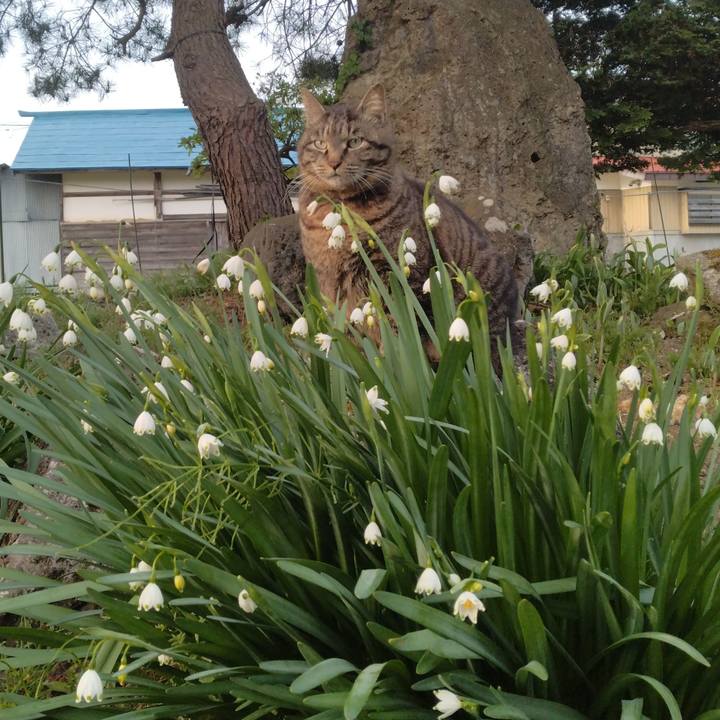 Adafe1d2 c0df 4241 b81d 3a66e5b2ee29 1714358103851