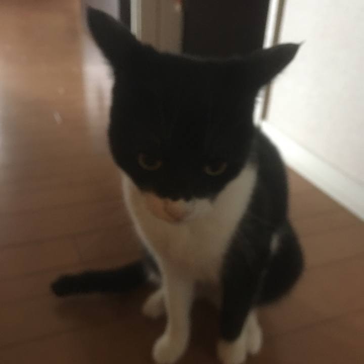 Adaffa9a d1b4 4198 aca0 5d8a00ced10c 1592987742384