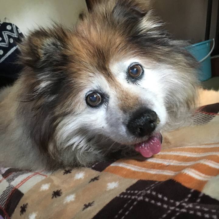 Adb00272 60db 455e b492 f2b59f6f406b 1617509956190