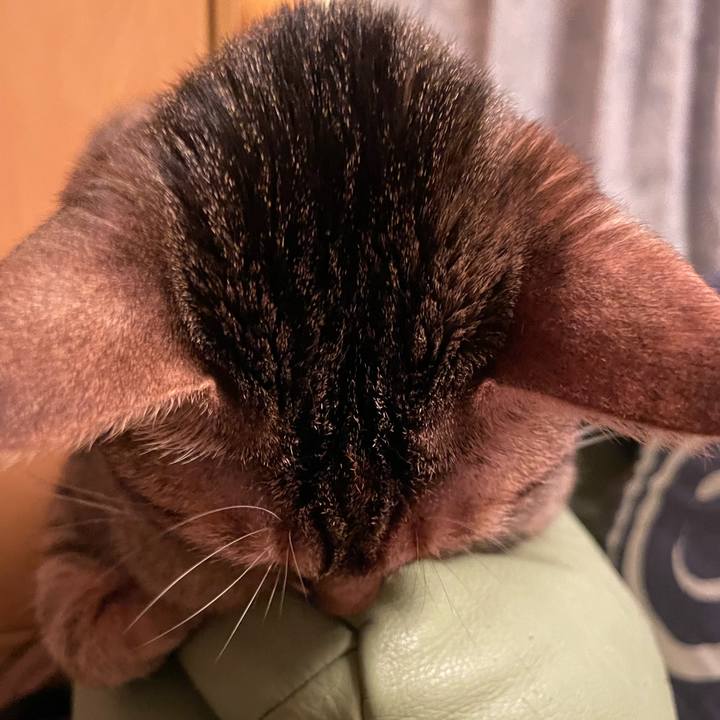 Adb0b11a 41bb 477f 864b d7450d593a6d 1643637775997