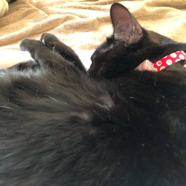 Adb105b0 61d9 4647 b30b afa508caffd5 1606448883608