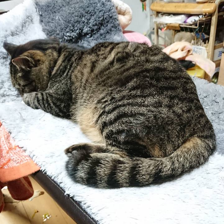 Adb1720b 1f6a 4b46 98c5 d12a663983c0 1640946158796