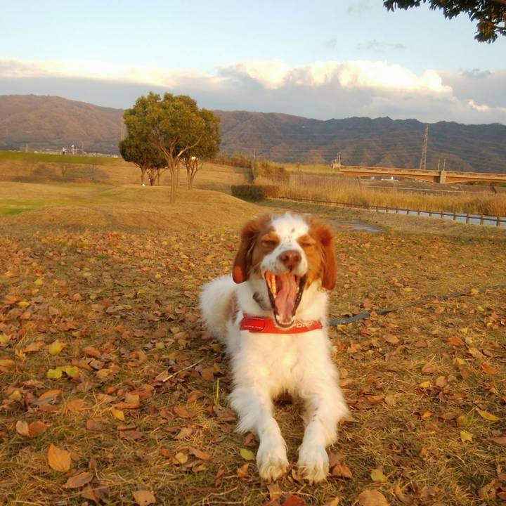 Adb20723 cb93 41bb 9bfe 813647f2c13b 1545036685232