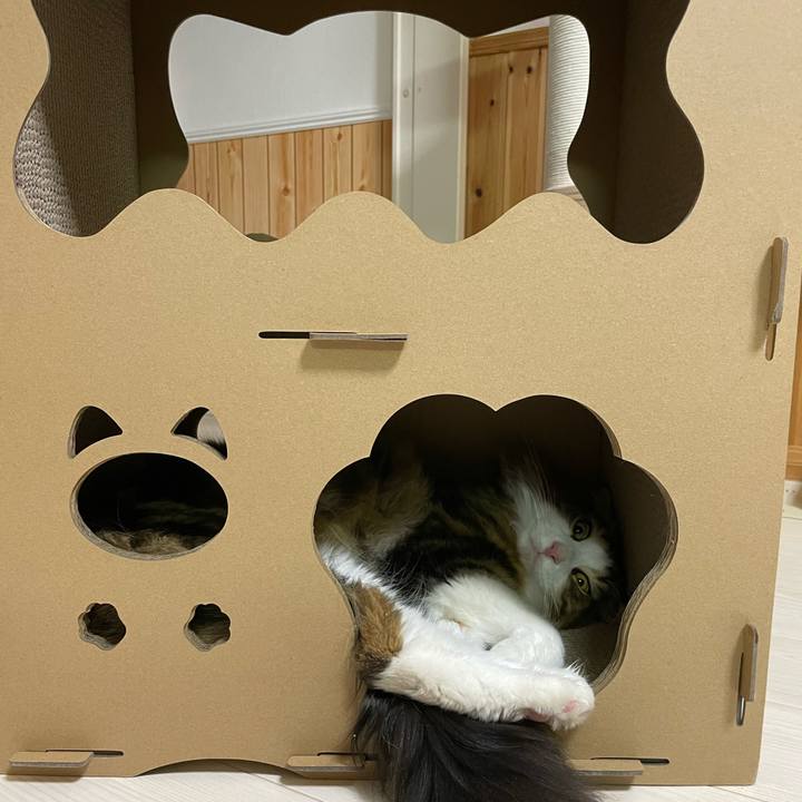 Adb28188 af8f 4011 a709 75beb1d0d719 1653909950228