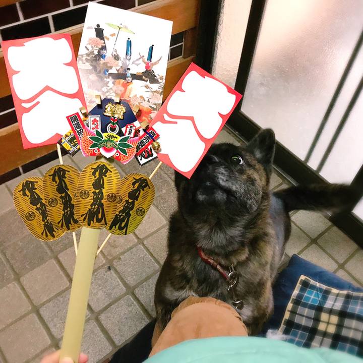 Adb2cc5a 4243 4c76 917d 8bc095e7336e 1544330676464