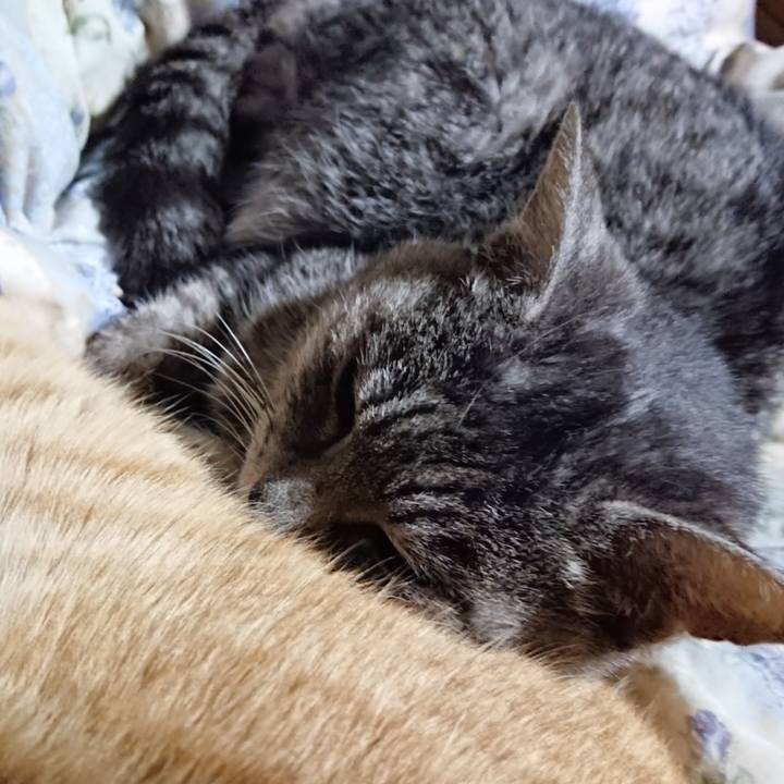 Adb30e0f 7031 4f0e 81df 441a84ec2964 1578574857227