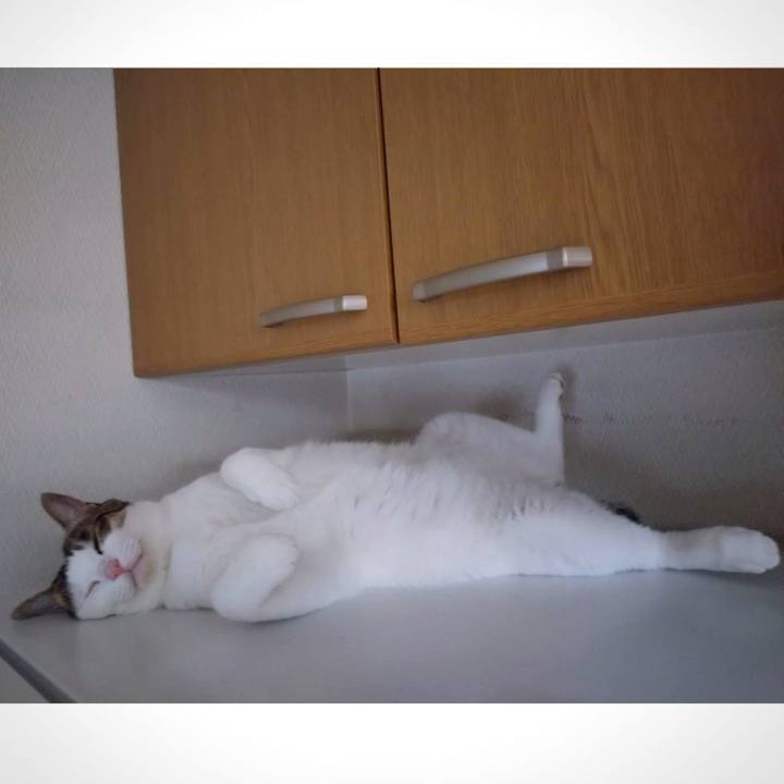 Adb3391b 9116 45c0 a58d 8b3c0af81646 1723606790530