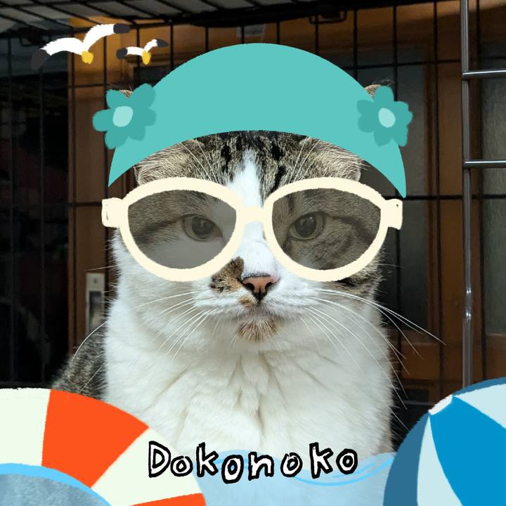 Adb35a4e 7eea 4bfb 95d0 4cc35c8f4860 1723244337217