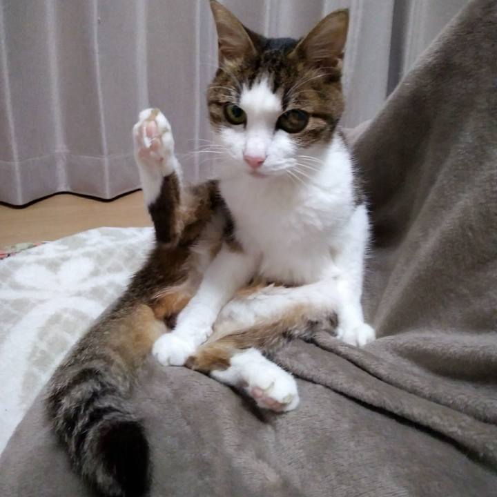 Adb4021a 52ce 4fb1 99bb 6f90cd90b537 1552393754389