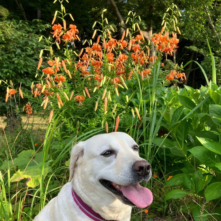 Adb4045d 0261 441b ac50 13f22e5d4068 1658354980832