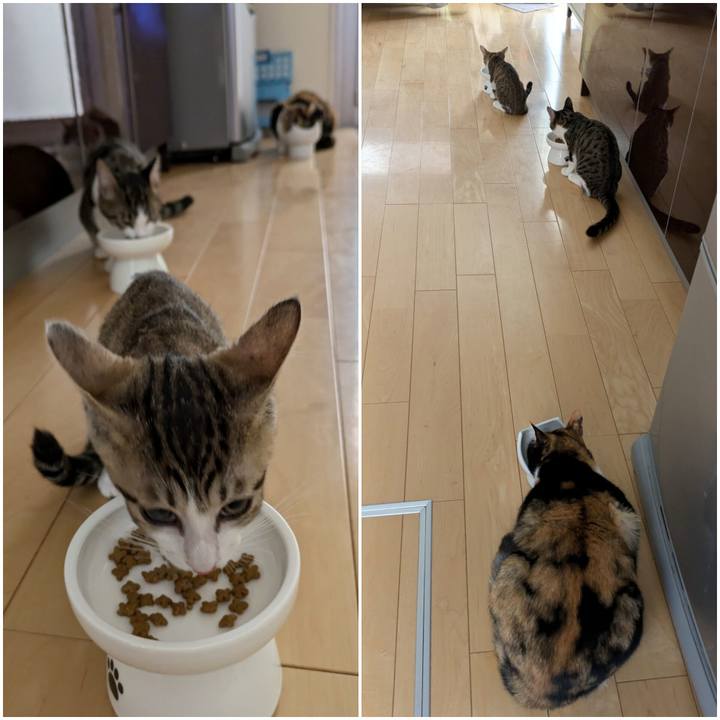 Adb416ad d885 41b1 a42f 53e1e92c766c 1730175490859