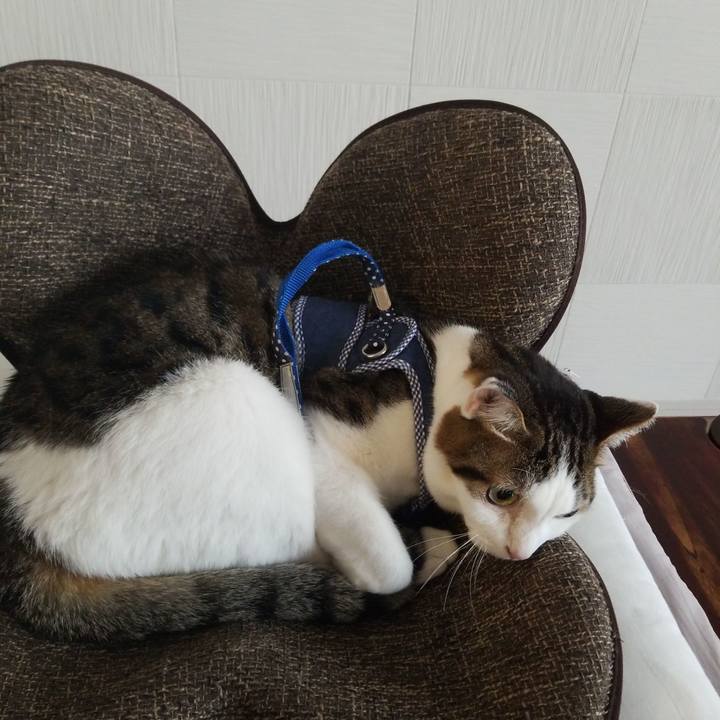 Adb43192 fce5 49b9 8b83 4521f84e6f93 1583538145078