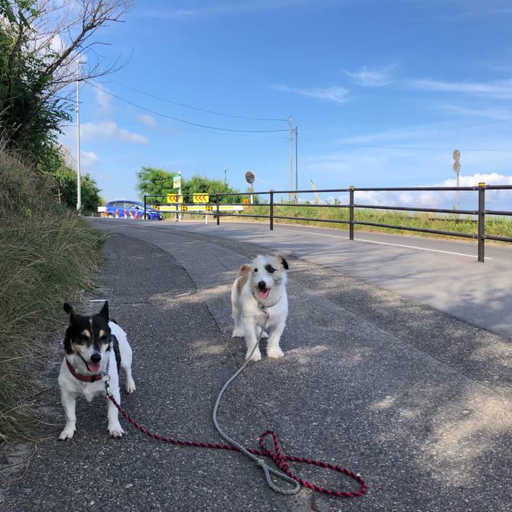 Adb43c78 539f 4cf2 8802 b47d155f7f7b 1565479619319