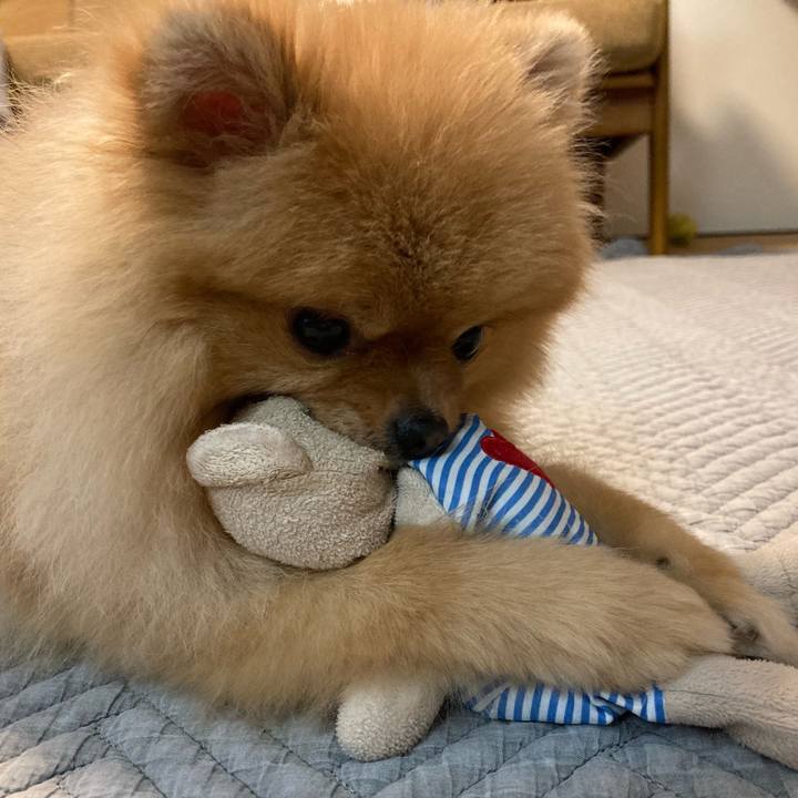 Adb47f1a cf60 47ad a8a4 f27eeab9071d 1713929872384