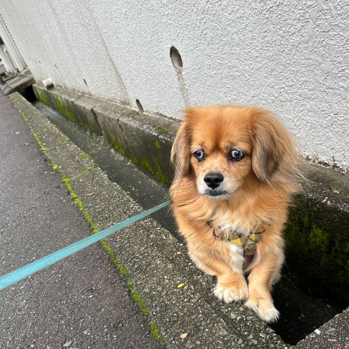 Adb49556 c7ca 430e 90c3 c2dcb7a2aaf4 1700263670445