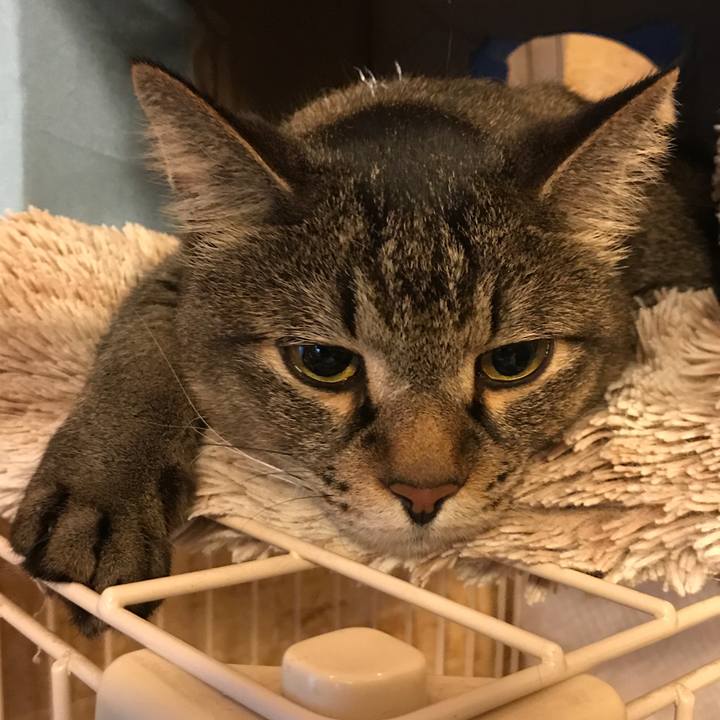 Adb49dbc ba3a 4fe8 85bd c18cc17766c3 1557290514914