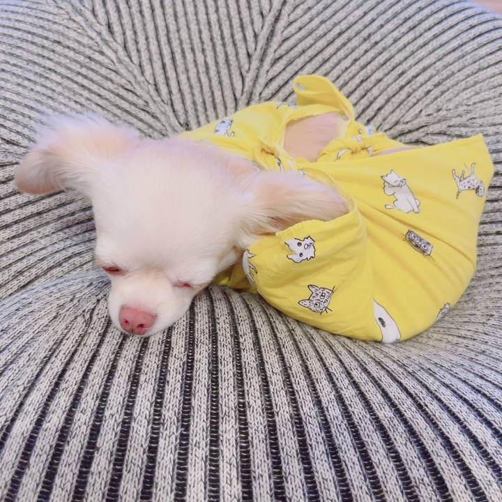 Adb4e71a 3088 40f9 bcf4 5ef6b9f0e52d 1691933423740