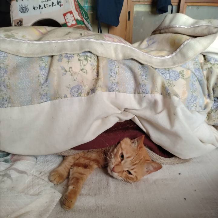 Adb4fd19 8f46 4adf 999d 4c8a7a884603 1682978105066