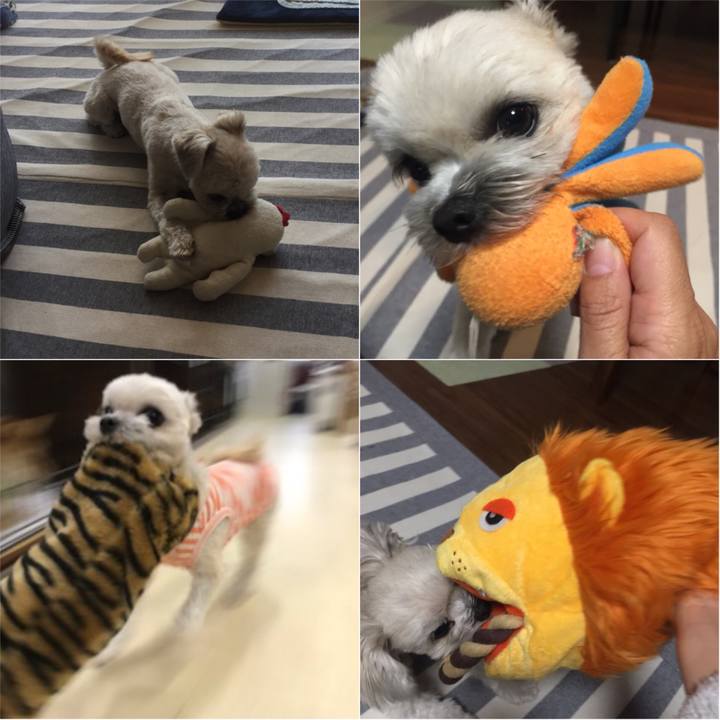 Adb51e56 3246 4c3b 8615 f3580ae37739 1526716352456