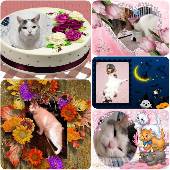 Adb5828f ccda 4763 a3e3 19cb173c60ef 1603403885672