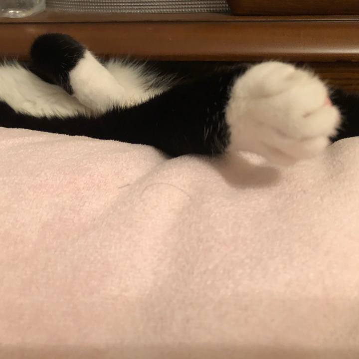 Adb58d13 87fa 4914 a241 b49a4f29f3fb 1592796729823