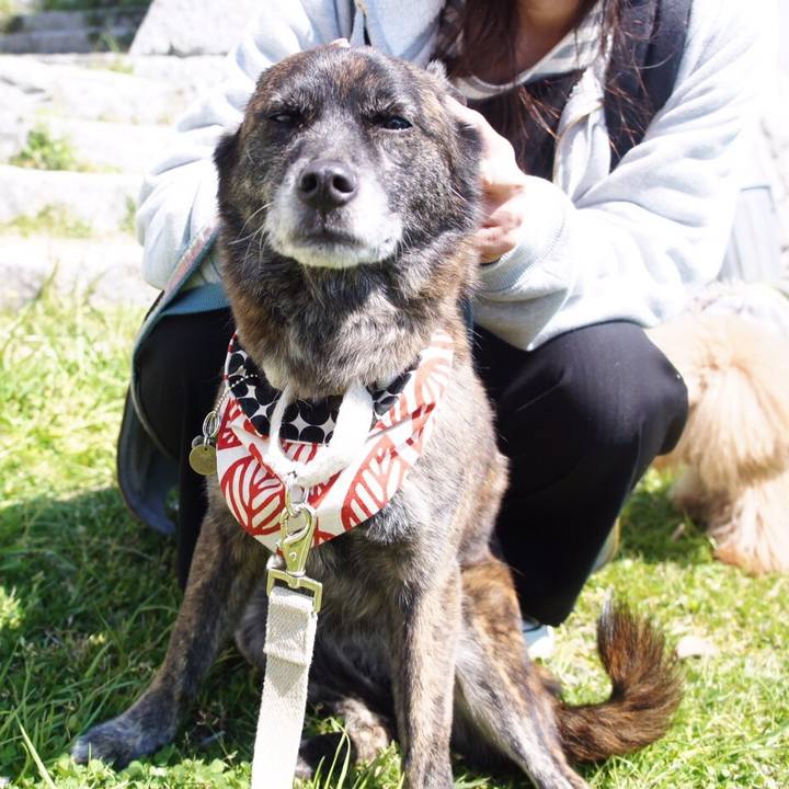 Adb5e8a4 3f0b 4e2f 9369 02cf0b7c32d5 1554373934051