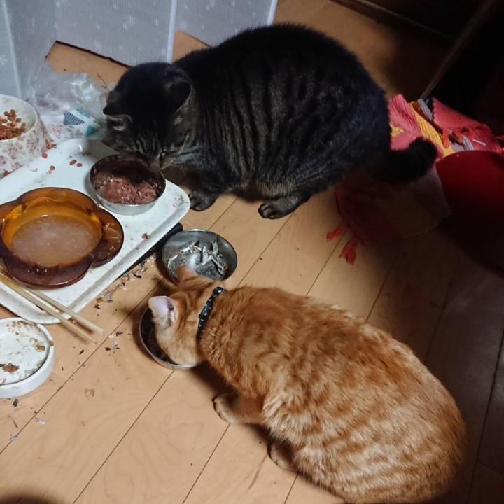 Adb5ed7c 697d 4e78 afa8 da30e7cfe689 1639167871468