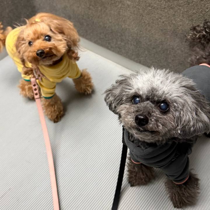 Adb5f9f9 2665 4fc1 832f 7866dc23eb95 1768951988276