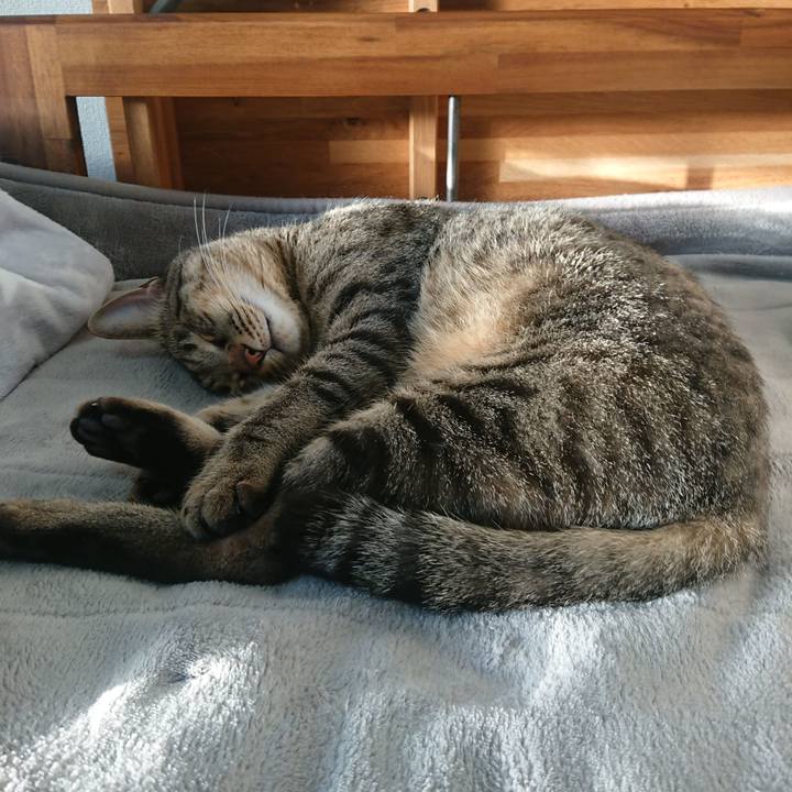 Adb60661 aa13 4c7b af10 603e87d4cc9a 1572851268384