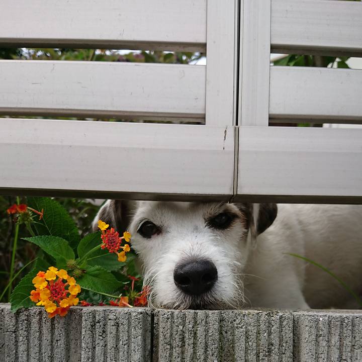 Adb60b75 28fa 4b42 88d4 7399d23199be 1539906945434