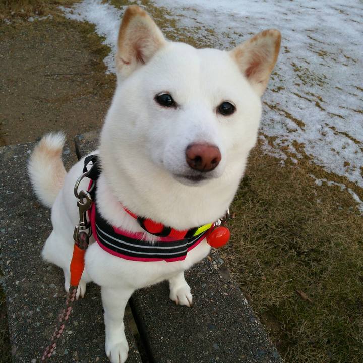 Adb60c48 59db 4bcb b2b2 b1dd01483e75 1547022127201