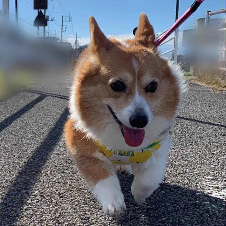 Adb62465 dc06 4c49 9c99 407a3849b1b8 1706060227878