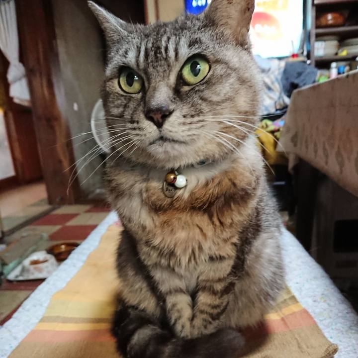 Adb62951 ccc5 4eeb a345 9e7f1950e412 1568325084265