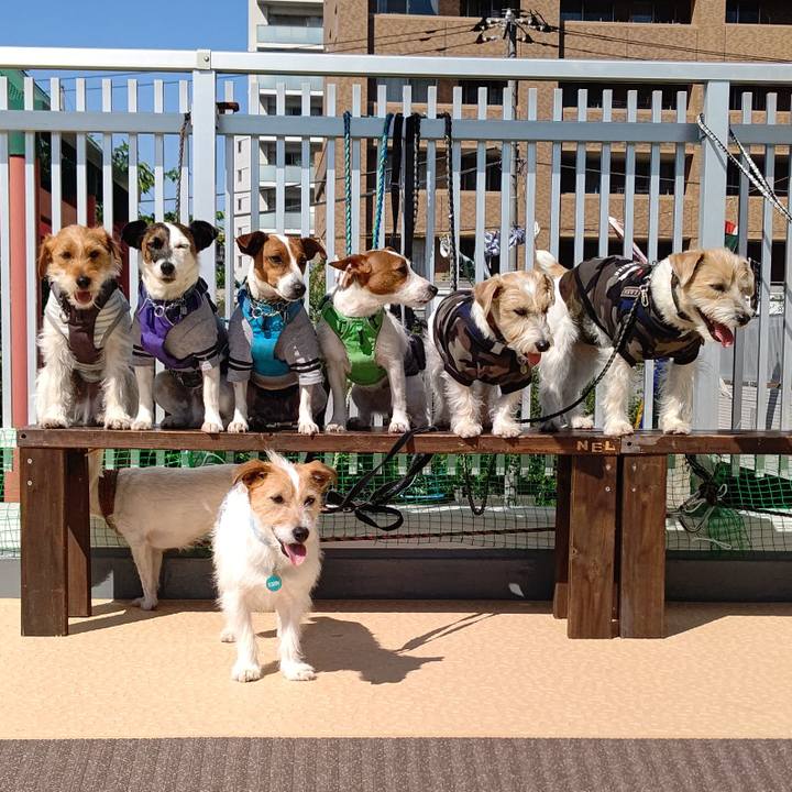 Adb6a561 16b0 475d 9d6e a2ee20b19671 1618987809640