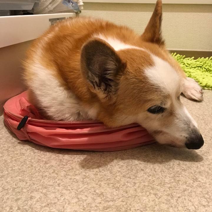 Adb6c38e f10d 40d1 86d8 a3f2523ffb63 1543331441326